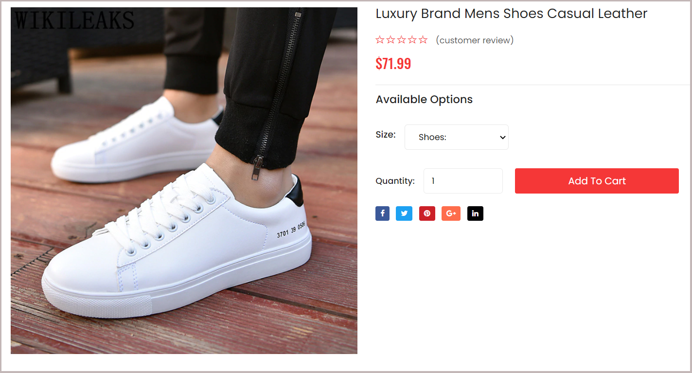 Shoe.png